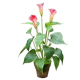 Dovewill ５色選べ　造花　人工カラー　置物　花束　撮影　小道具　美しい　ギフト　42センチメートル - ピンク