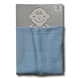 めんぷます田 赤ちゃんのガーゼケット あおぞら色 85×110cm 綿100% 日本製