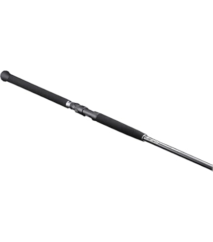 Amazon | JACKALL(ジャッカル) ビヨンドゾーン (BEYOND ZONE) 13ft