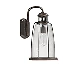 Capital Lighting 9632OB Harbor 1-Light 16-Inch Exterior Wall Lantern, Old Bronze Finish with Seedy G