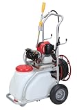 麻場 30Lタンク車EG動噴セット ミニタン AT-300W4M