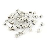 uxcell クイックブローガラス管ヒューズ　13A 250V　 6x30mm　ガラス　金属　30個入り