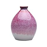 花瓶/ジャーディーニエール酒セットとして使用される酒瓶旗陶器ワインポット