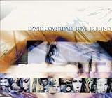 �����E�C�Y�E�u���C���h