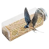 クリアウズラフィーダー - 4つのクマの形のポートを備えた汚れのないひよこフィーダー、耐久性のある鳥の給餌ステーション |ポータブルボトル型鳥の餌箱、ウズラ、オウム、セキセイインコ、バジリスク用ケージアクセサリー