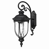 Acclaim 2212BK Laurens Collection 1-Light Wall Mount Outdoor Light Fixture, Matte Black [並行輸入品]