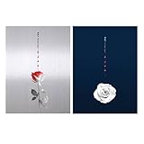 2種セット / B.A.P シングル6集 [ROSE]