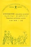 【種子】 フィーバーフュー ゴールデンリーフ 三笠園芸　春まきの種アウトレットセール！（2018年2月期限切れ）