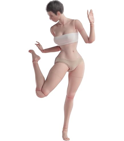 Amazon | HiPlay Worldbox 1/6 超可動 女性 半シームレス