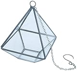 PL ハンギングディスプレイケース テラリウム ステラ ガラス 22393