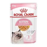 ロイヤルカナン キトン ゼリー （猫専用ウェットフード 子猫用）85g×12個
