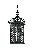 Troy Lighting Los Olivos 3-Light Outdoor Pendant - Old Iron Finish with Clear Seeded Glass [並行輸入品]