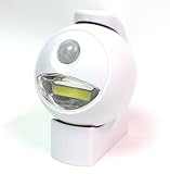 AUTO機能 防水規格IP43 COBセンサーライト ボール型 角度 方向 自在設定 乾電池式 SA-3049
