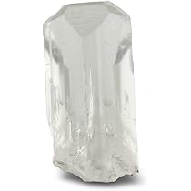 アンモナイト様用 Amazon.co.jp: Starborn ☆ 虹色に輝くアンモライトを