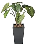 造花アート・観葉植物　クワズ芋90＜ 創立記念日 周年祝い 上場祝いに ＞