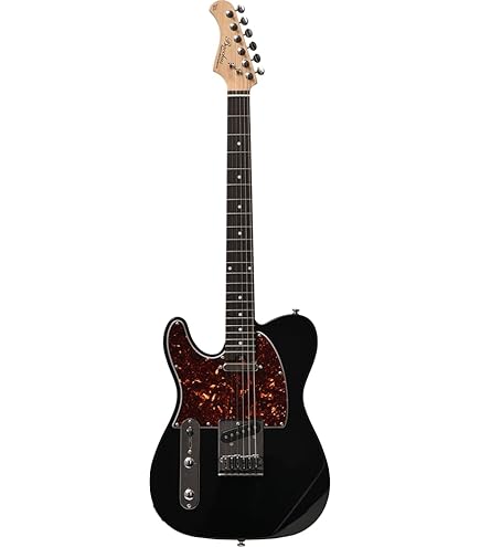 Bacchus テレキャスター　レフティ　LH Amazon | Bacchus バッカス レフティ BTE-STD-LH/R 左利き用