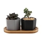 Rachel's Choice 陶器鉢 ミニヘキサゴン 多肉植物、サボテン鉢 トレイ付き マット ブラック＆グレー