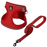 BELLA & PAL 犬用 ハーネス リード セット 小型犬 超小型犬 猫用ハーネス 胴輪 引っ張り防止 サイズ調整可能 夜間反射 脱着簡単 耐久性 通気性 ソフト メッシュ (レッド, XS)