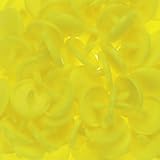 100 Glossy Yellow (B7) Round KAM Plastic Resin Snaps Craft Baby Bib Cloth Diaper by KAM [並行輸入品]
