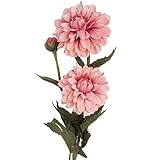 (ヒル・インテリアズ) Hill Interiors 菊の造花 アーティフィシャルフラワー イミテーションフラワー デコレーション (ワンサイズ) (ダークピンク)