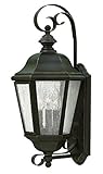 Hinkley 1670OZ Outdoor Edgewater Light [並行輸入品]