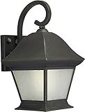 Forte Lighting 10000-01-14 Exterior Wall Light with Frosted Seeded Glass Shades, Royal Bronze [並行輸入品