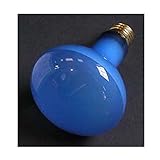 旭光電機 プラントライト 100W