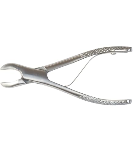 Amazon | [帝塚山ハウンドカム] 愛犬愛猫用 歯石取りスケーラー