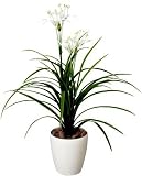 222A80 光触媒観葉植物 人工ｸﾞﾘｰﾝ ﾕｯｶ花付