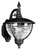 Special Lite Products Vista F-2911-BLK/CR Medium Top Mount Light, Black [並行輸入品]