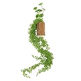 velener wall-hanging人工サボテンと多肉植物の木製花瓶ホームデコレーション(グリーン) グリーン BG-06