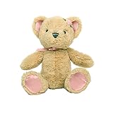 Baby Dumpling Heaven Sent Plush Beanie Bear Rattle, Girls, 6 Inch by Baby Dumpling