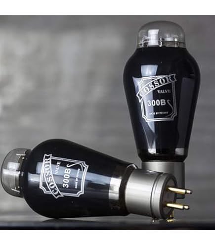 Amazon.co.jp: PSVANE WE300B 真空管 2本セット 300BA 300BCとの