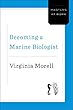 Becoming a Marine Biologist (Masters at Work)