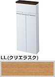 【トイレ 収納】トイレ用壁付き収納棚 INAX イナックス LIXIL・リクシル 【TSF-100EU】楽々取り付け　LL(クリエラスク）納期3～4週間