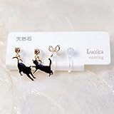 Luccica ルチカ