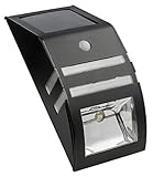 Paradise GL23101MB Solar Stainless Steel Security Light [並行輸入品]
