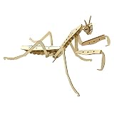 つくるんです ポケットバグズ オオカマキリ 【日本公式販売／日本語説明書付】