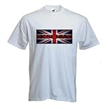 Ultrashort Electric Pulse Effects in Biology and Medicine (Series in BioEngineering)