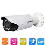 ENSTER 1/2.8" CMOS sensor with ICR 2.0MP IP66 Waterproof Bullet POE Camera 42pieces IR LED 30M IR Ra