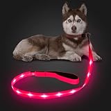 Candofly 反射型 LED 犬用リード - 暗闇で光る犬 ライト USB 充電式照明付き犬用ロープ、4 フィートの耐久性のある耐水性点滅犬リード、ペットの犬の夜の散歩用 (ピンク)