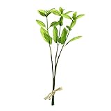 アップルユーカリピック(3本) FXFPL0001GR