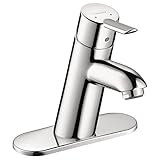 Hansgrohe 31701001 Focus Single Hole Faucet [並行輸入品]