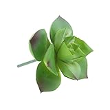 Dovewill 美しい　人工多肉植物　人工エケベリア　水分　植物　花　装飾　インテリア　店舗装飾　家の装飾　全２色 - 緑