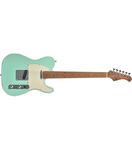 Amazon | Bacchus BTE-2-RSM/R-BPPG Gun-M 初心者14点セット 【MG10