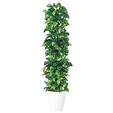 プラス　記載台　AKシリーズ　人工樹木　ポトスヘゴ　NO128J