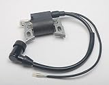 WANWU ホンダ Honda 152F gx100 2.8HP 96CC 97CC 98CC 100 エンジン点火コイル [並行輸入品]