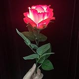 【手品 マジック】Lighting Rose Remoto Control/ライトローズ・リモコン ロマンティック メンタリズムマジック 舞台マジック道具