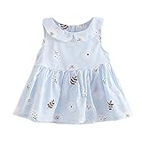 Dizoon 春夏 子供 ベビー キッズ 女の子 ワンピース ドレス スカート 可愛い服 3デザイン いちご 花柄 ピンク/ブルー ホワイト 80 85 90 100cm 6-36ヶ月 (85cm, 