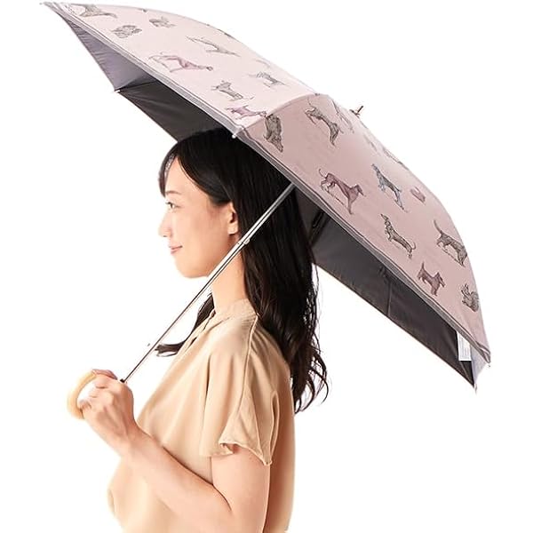 Amazon | [アクアスキュータム] ロンドンアイコンイラスト 晴雨